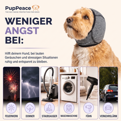 Ruhehaube - Der Nr.1 Hundegehörschutz