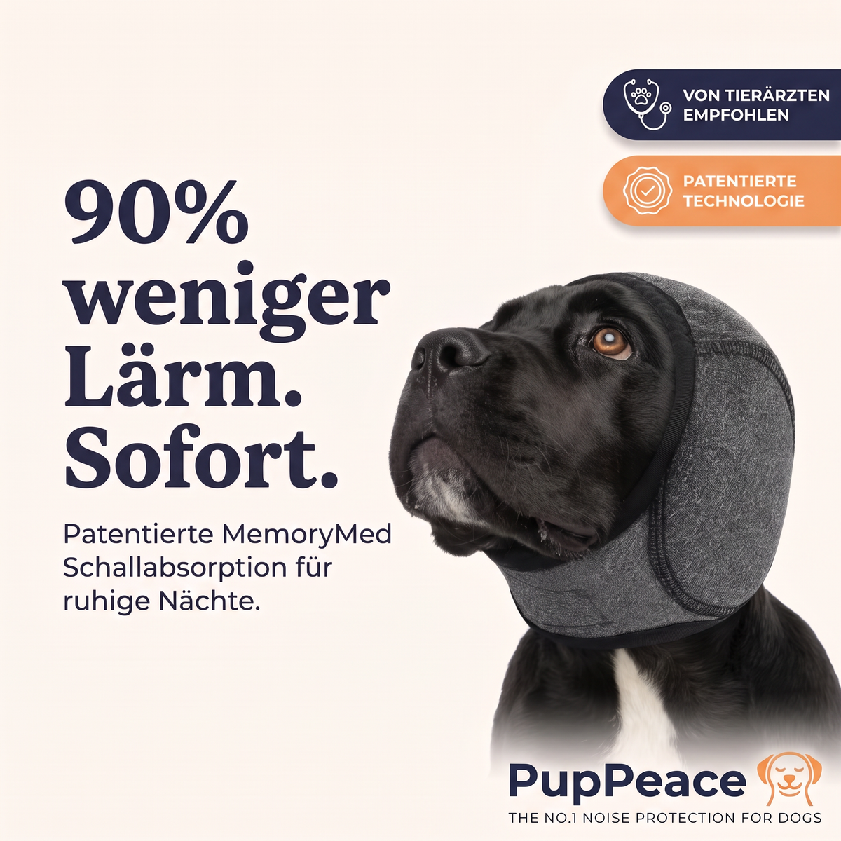 Ruhehaube - Der Nr.1 Hundegehörschutz